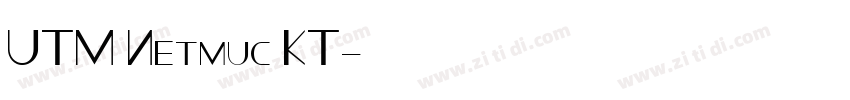 UTM Netmuc KT字体转换